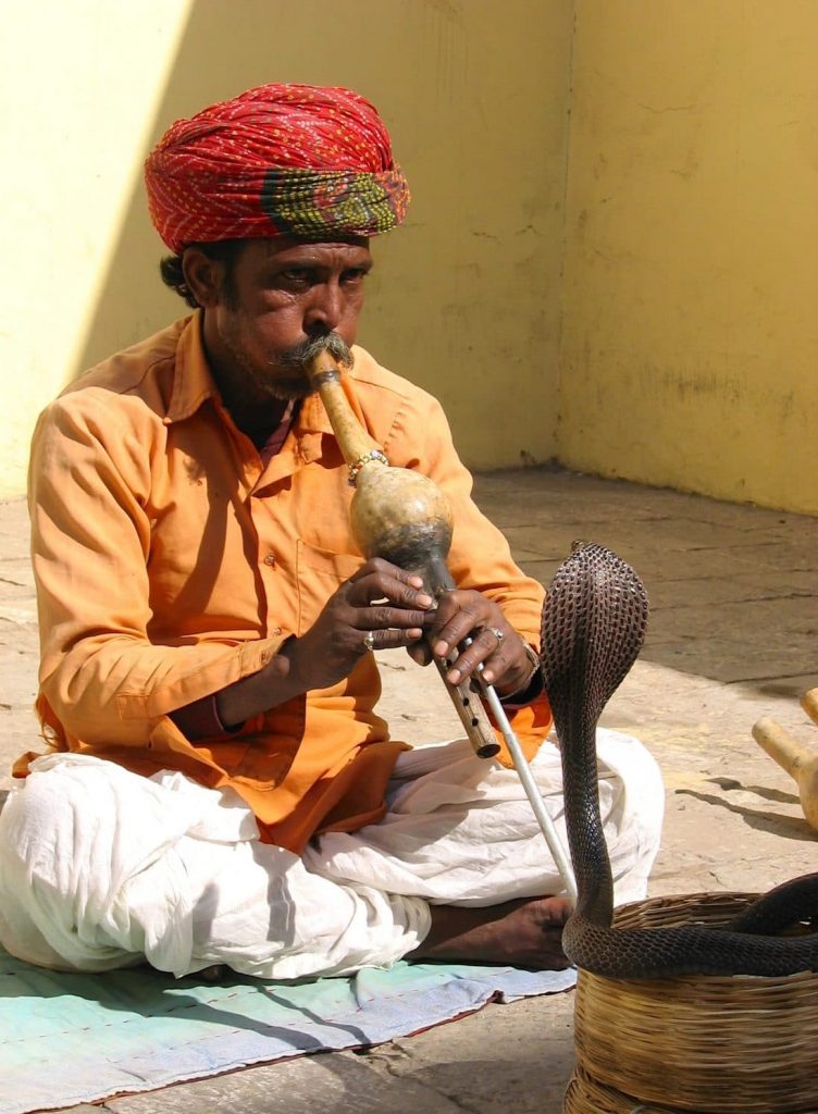 charmeur serpent jaipur rajasthan