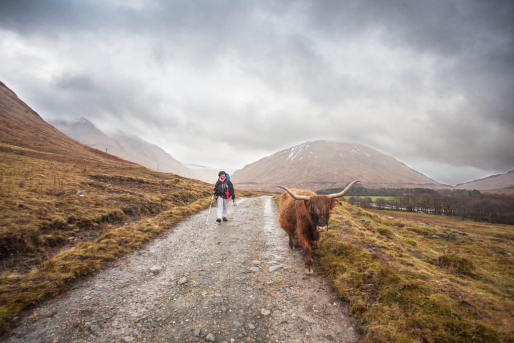 West Highland Way Tyndrum Inveroran