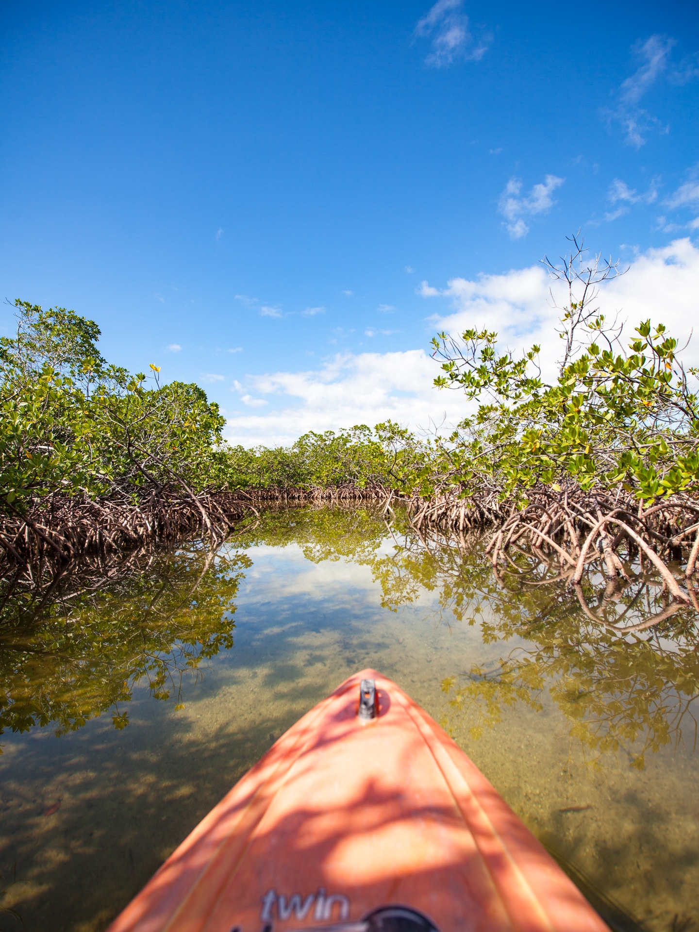 Voyage aux Bahamas Grand Bahama