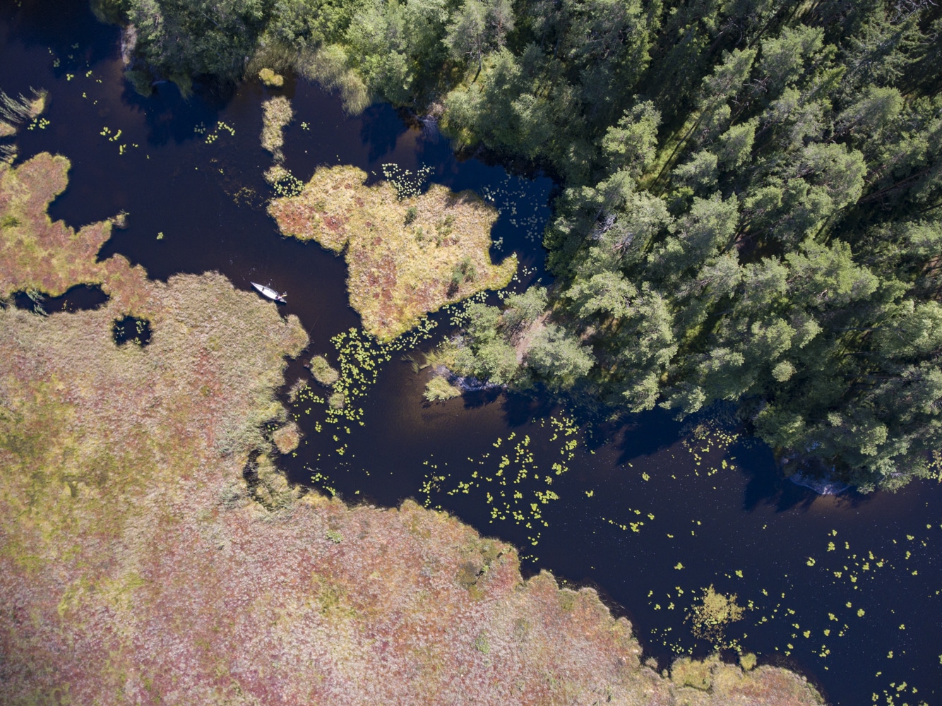 parc national Teijo 