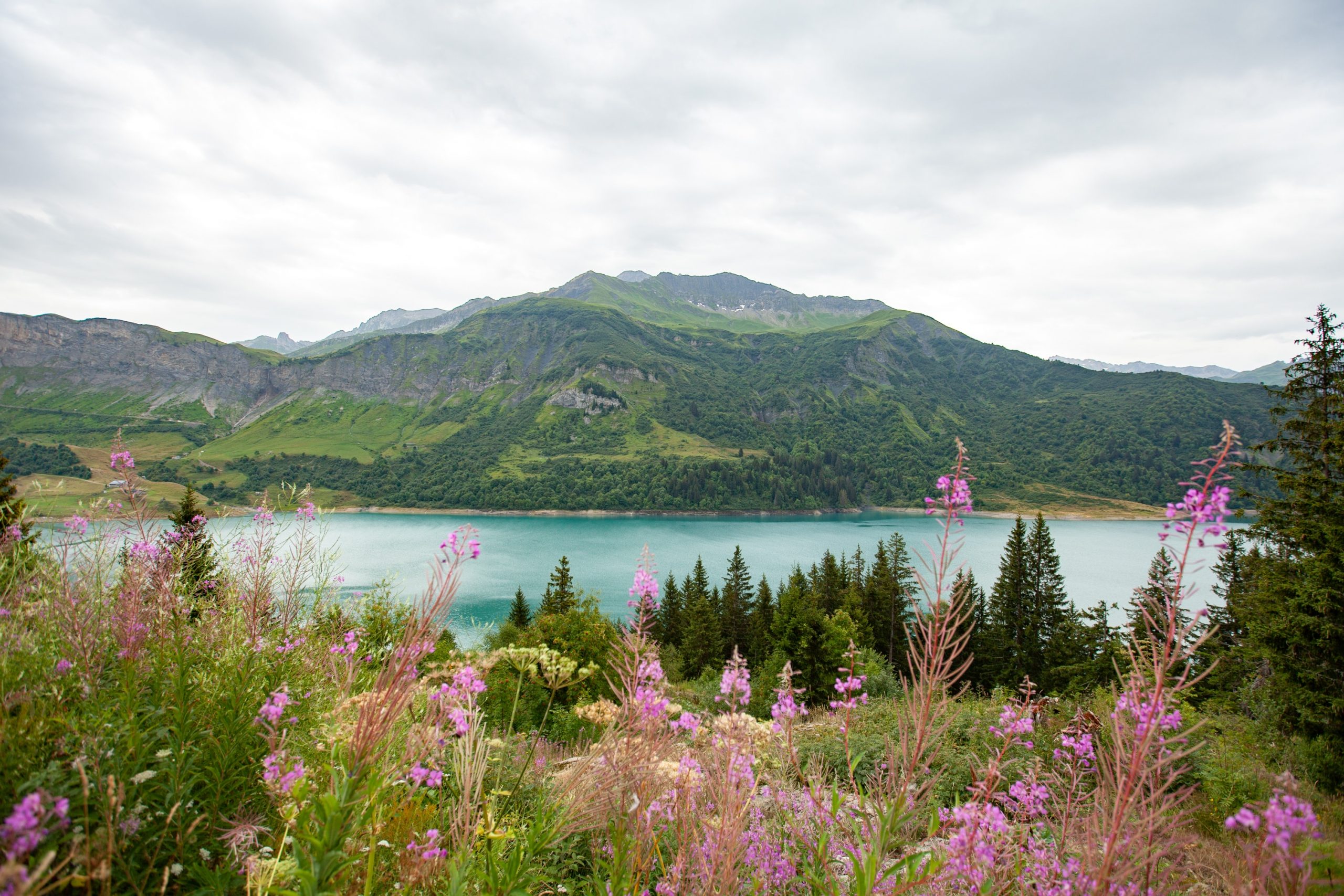 barrage de Roseland