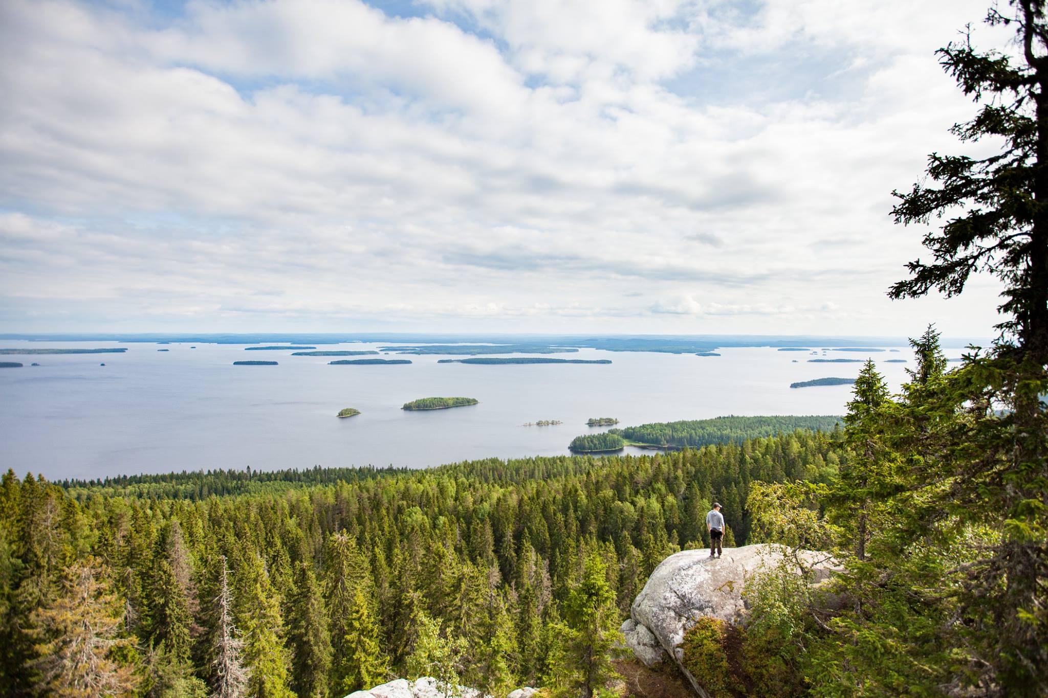 finlande ours