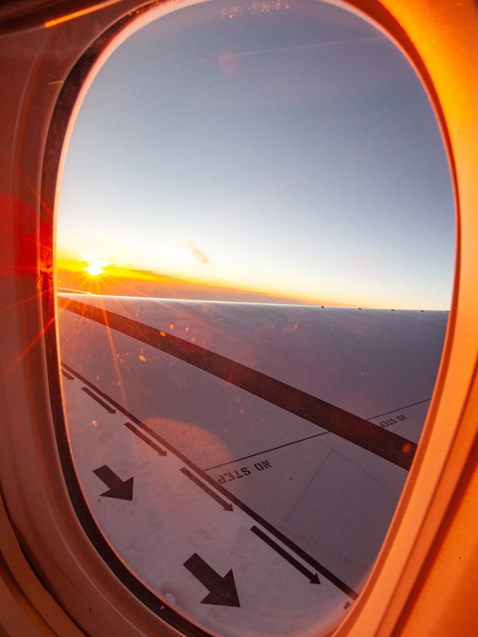 japan airlines avis
