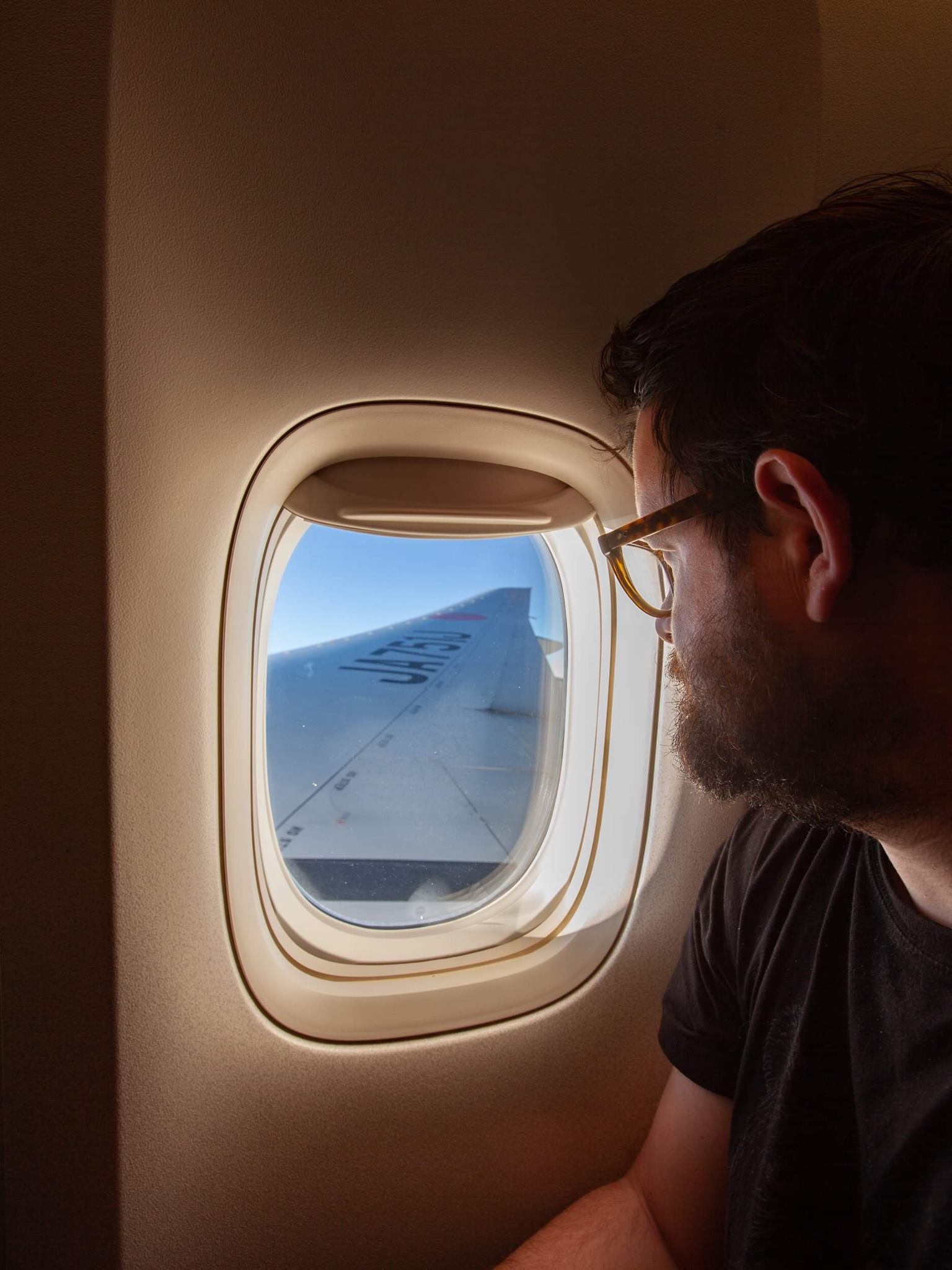 japan airlines avis