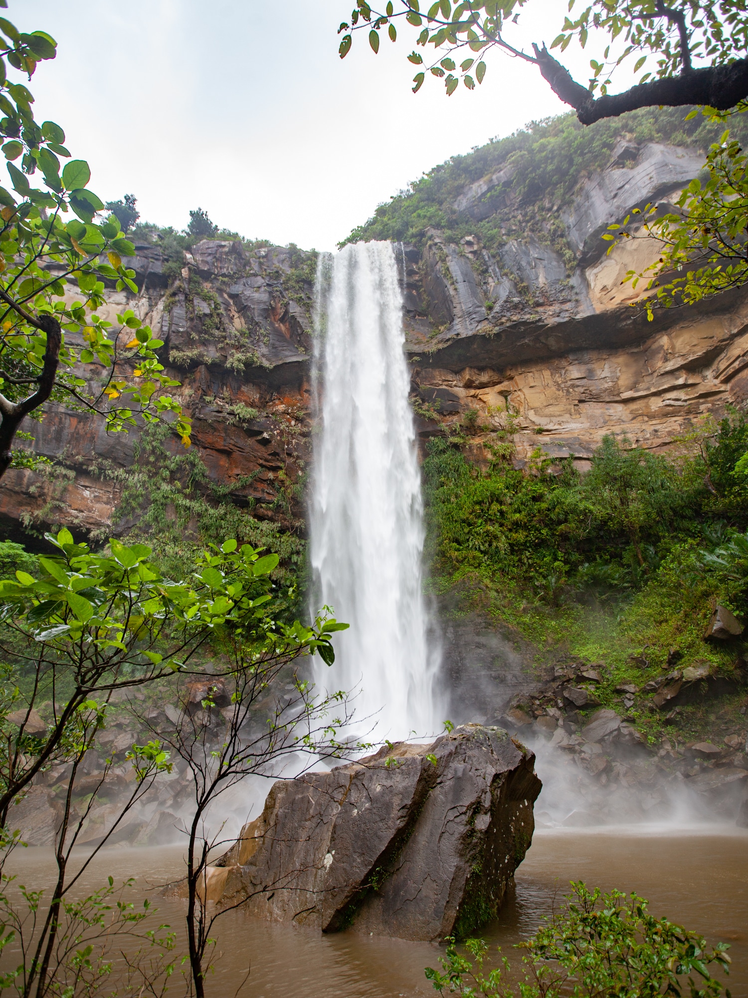 visiter Iriomote