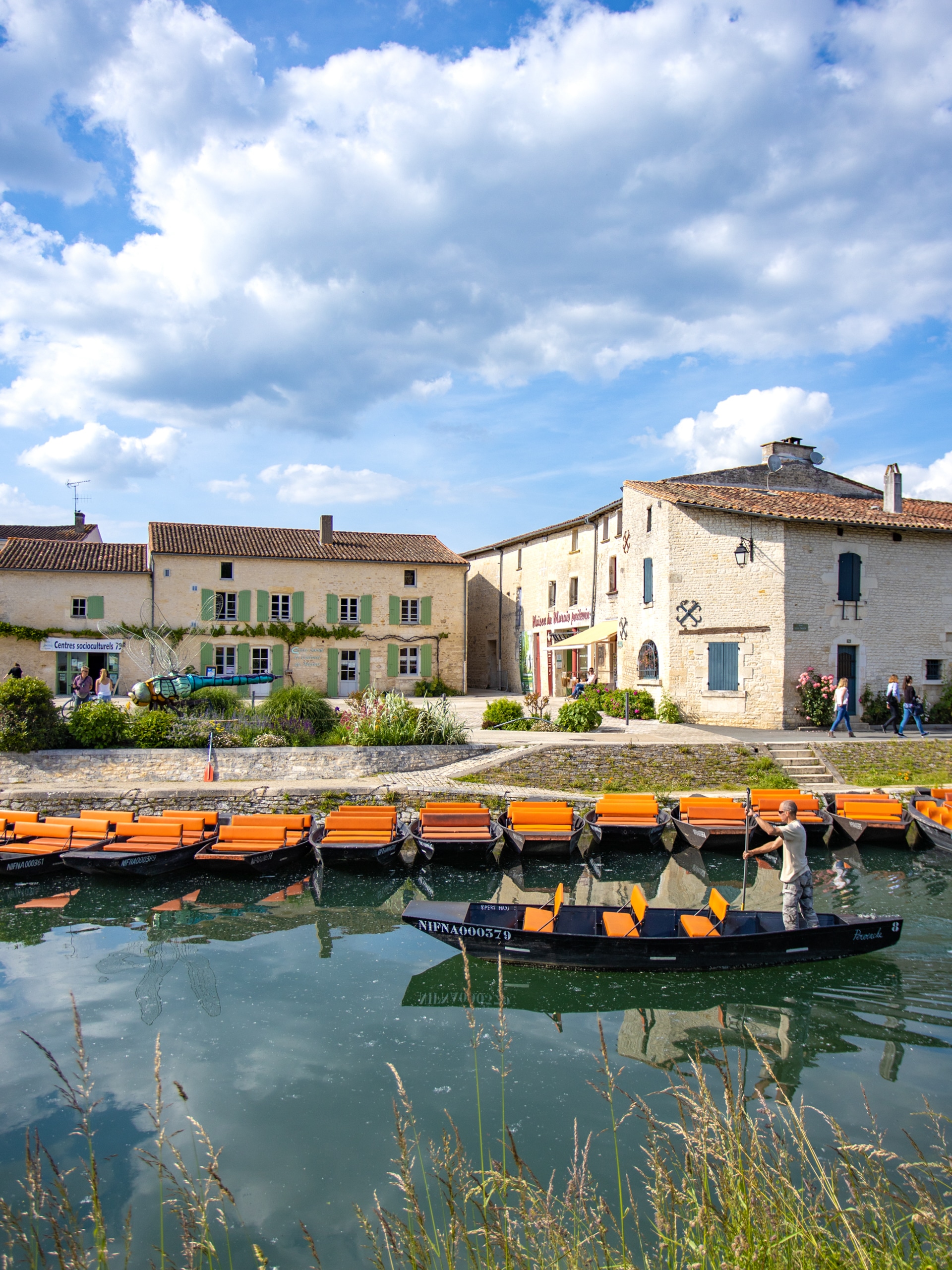 coulon