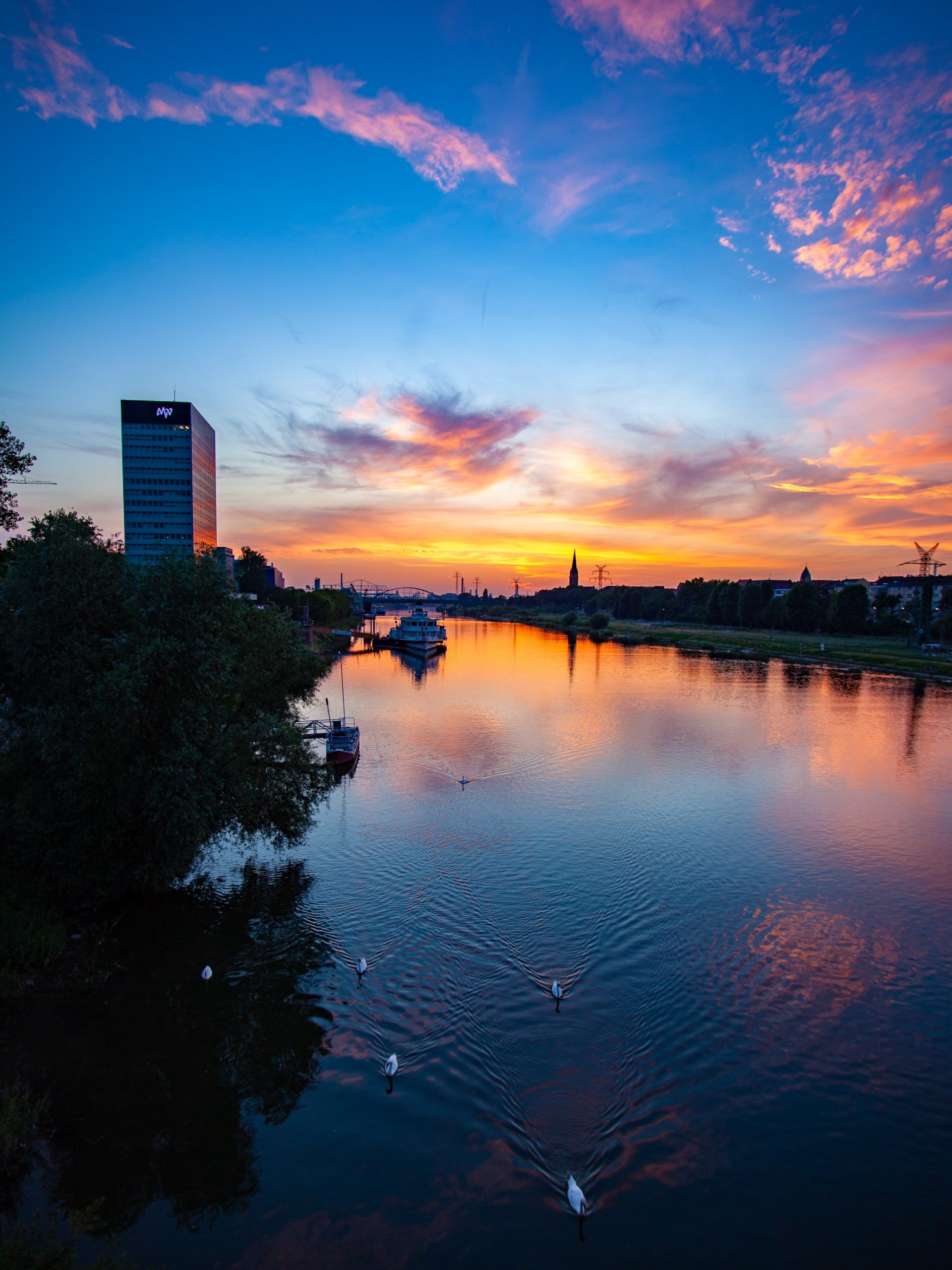 visiter mannheim