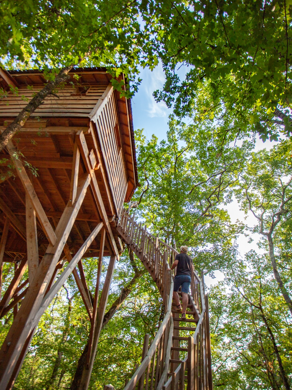 cabane dans les arbres