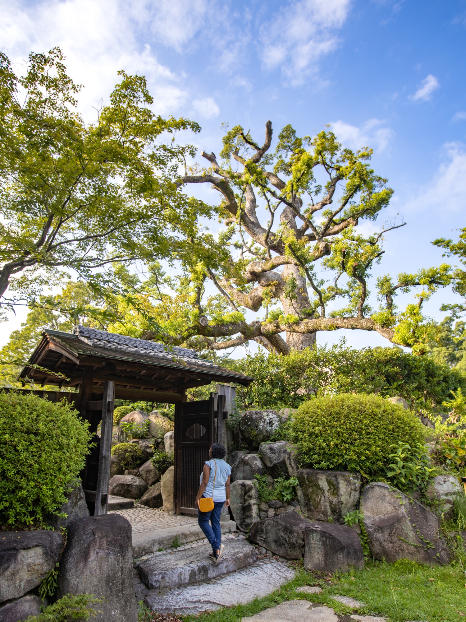 visiter kobe