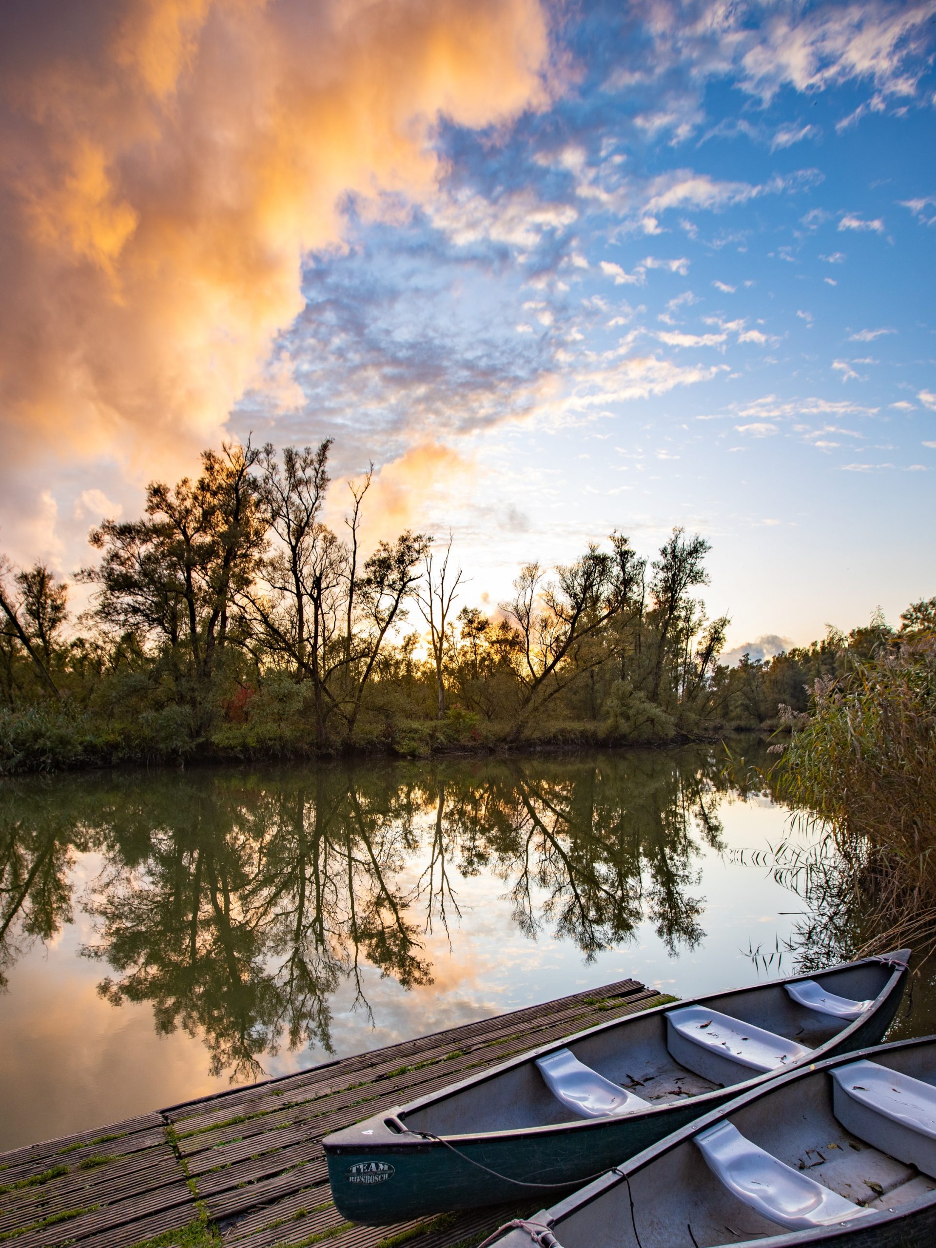 Biesbosch