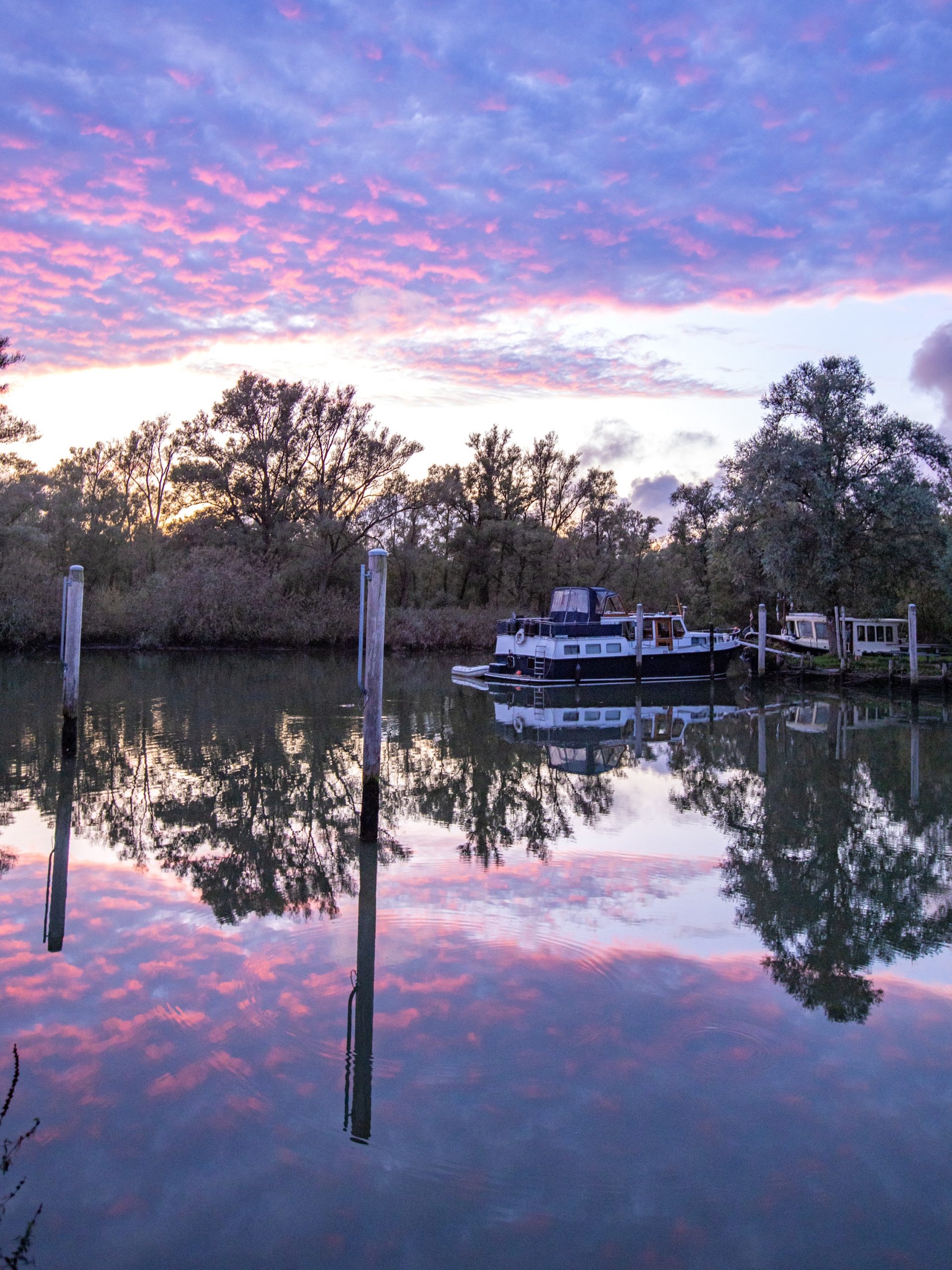 Biesbosch