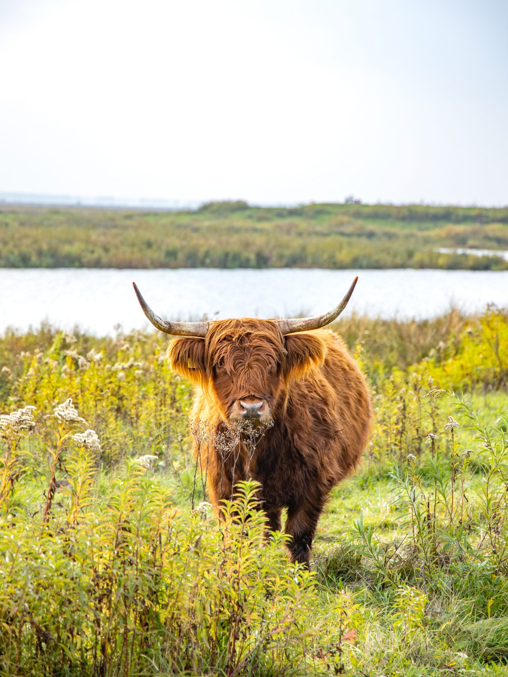 visiter Tiengemeten