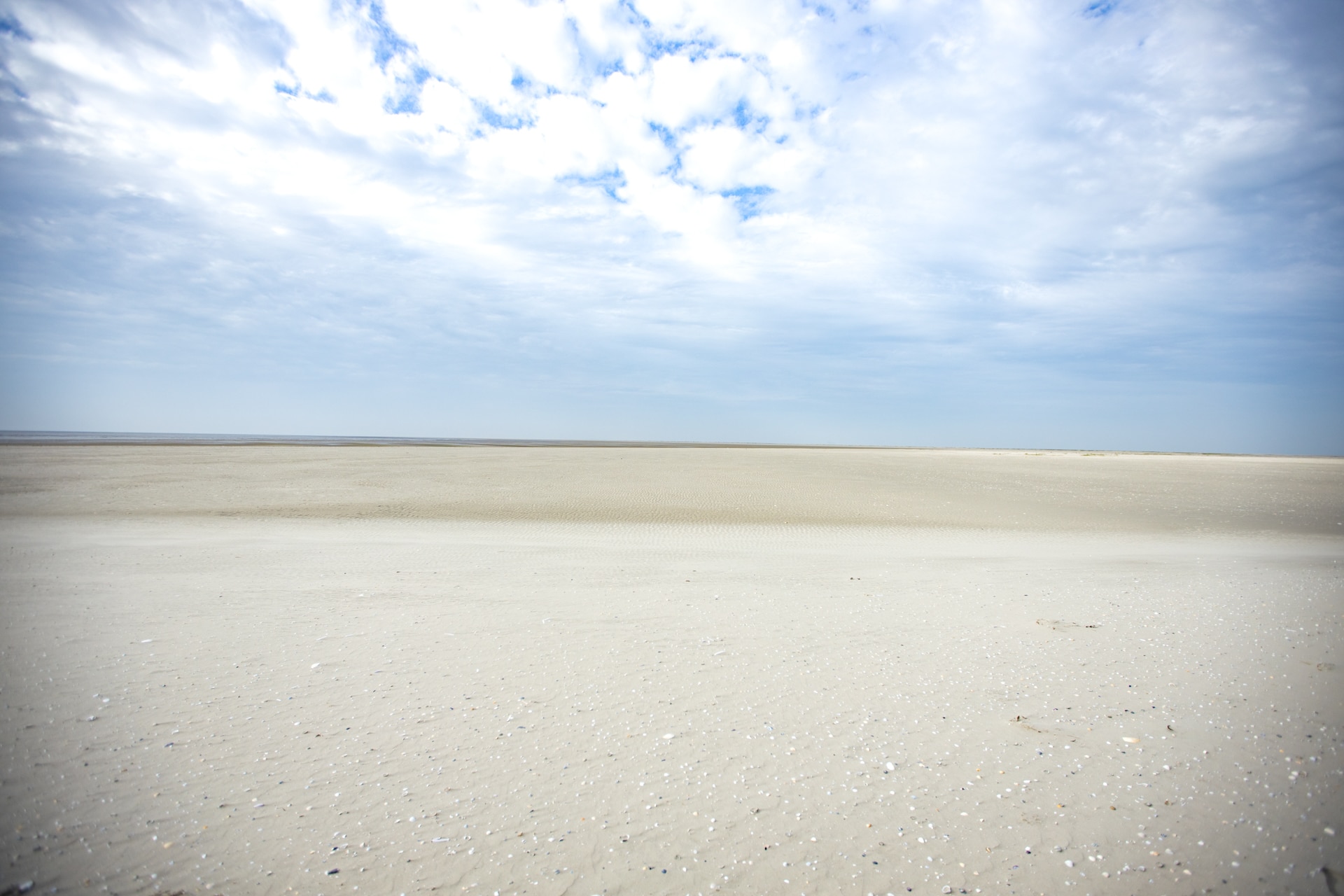 mer des wadden