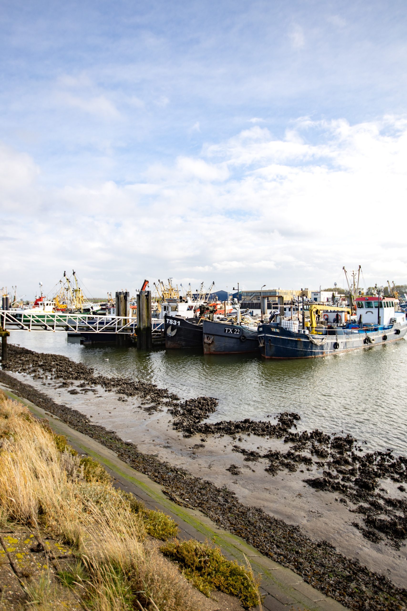 mer des wadden