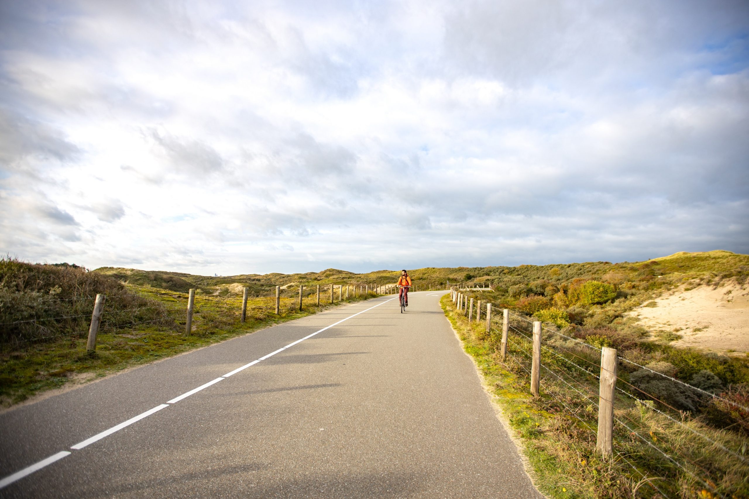 Hollandse Duinen