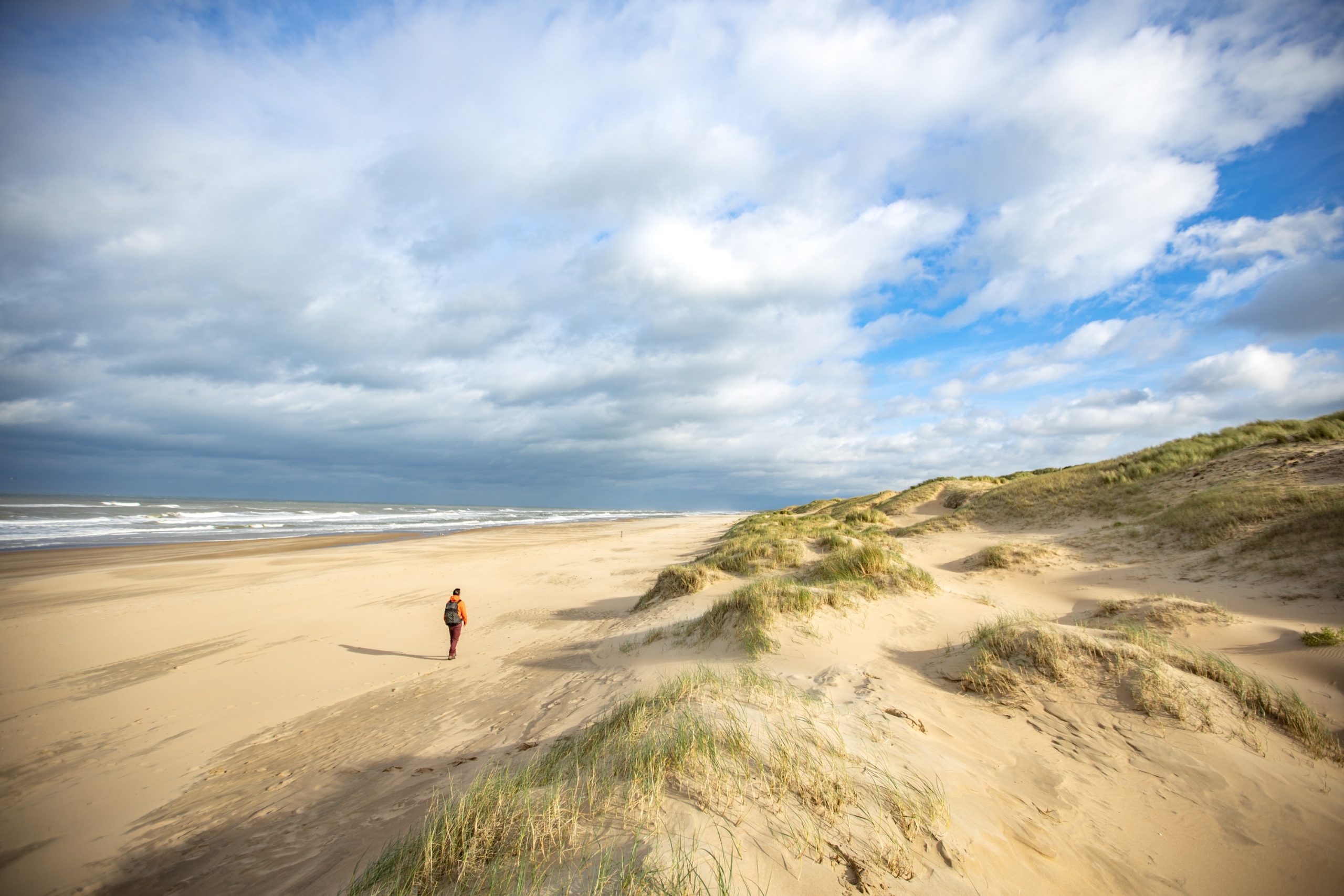 Hollandse Duinen