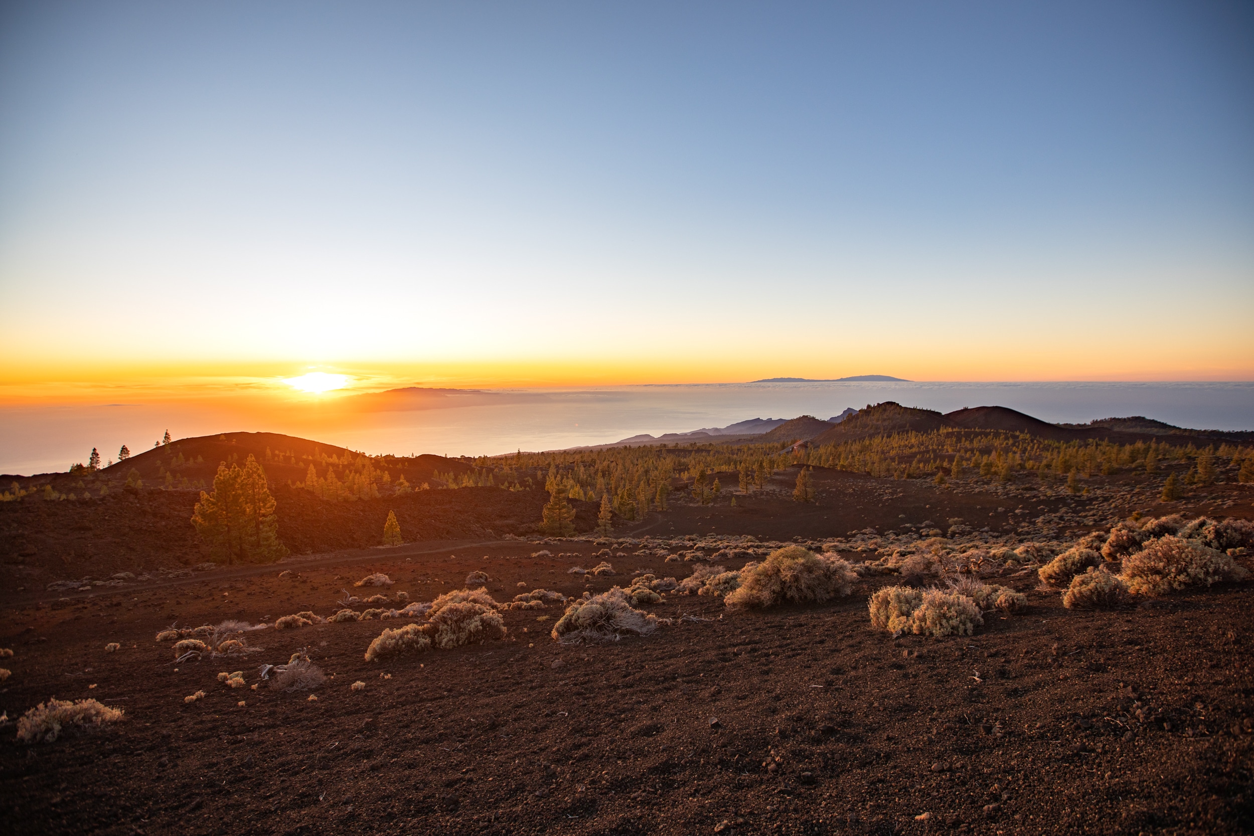 visiter tenerife