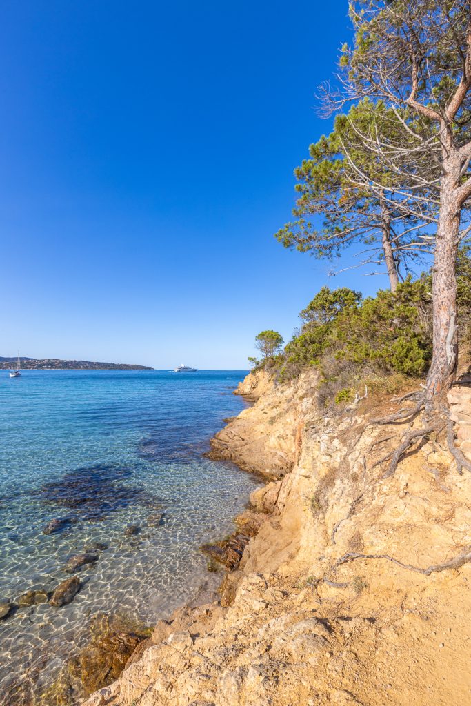 ile pinarello