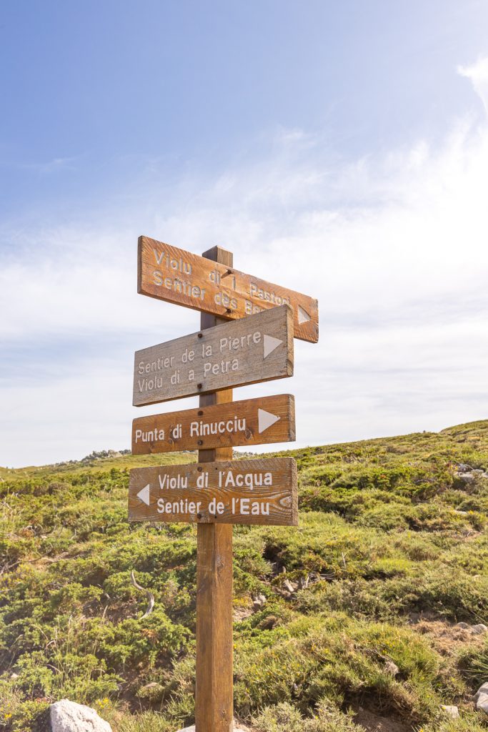 plateau coscione randonnée