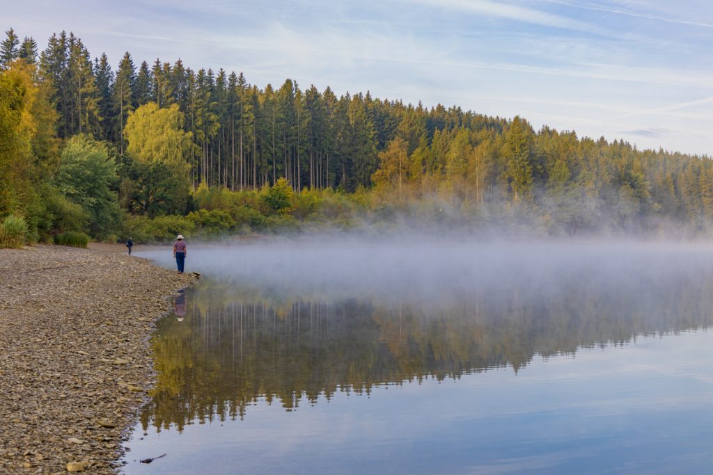hautes fagnes