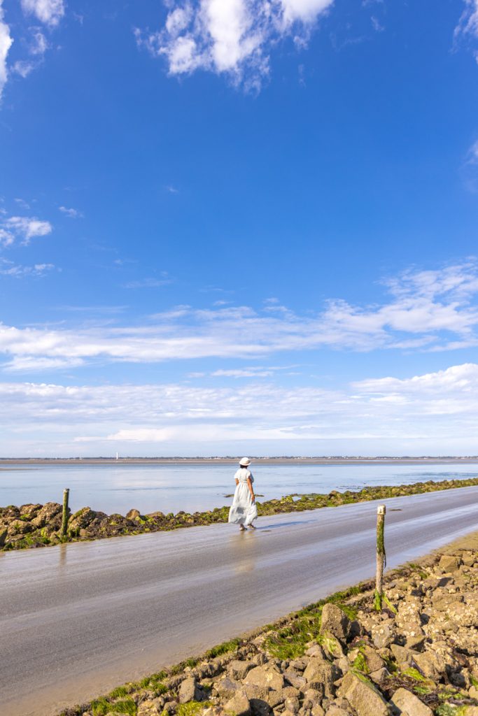 passage du gois