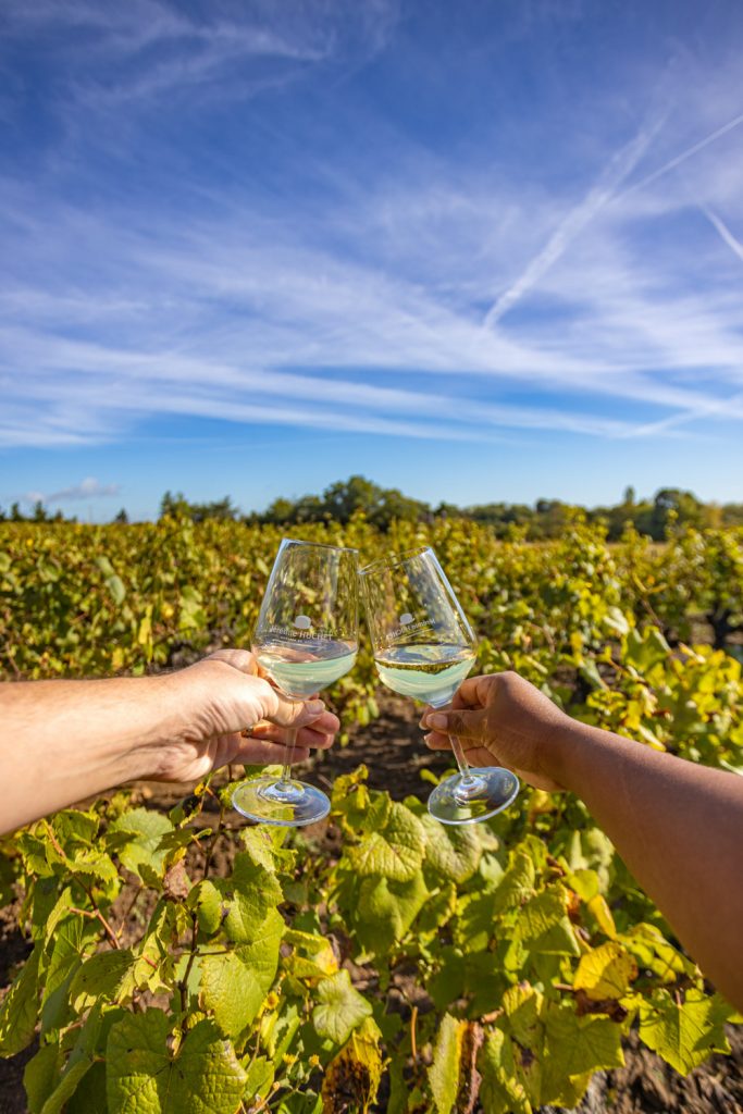 muscadet
