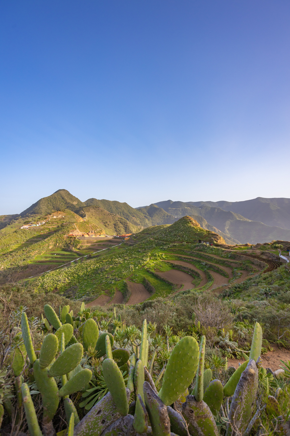tenerife anaga