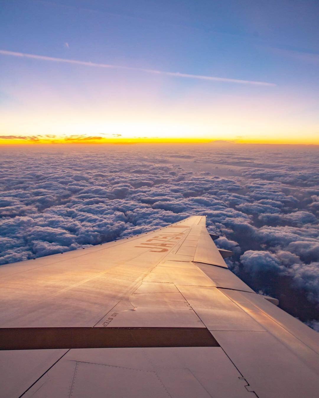 Avion Japon