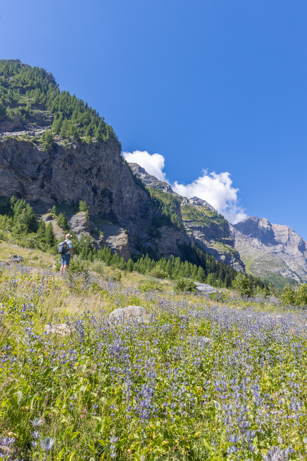 vallon du fournel randonnée