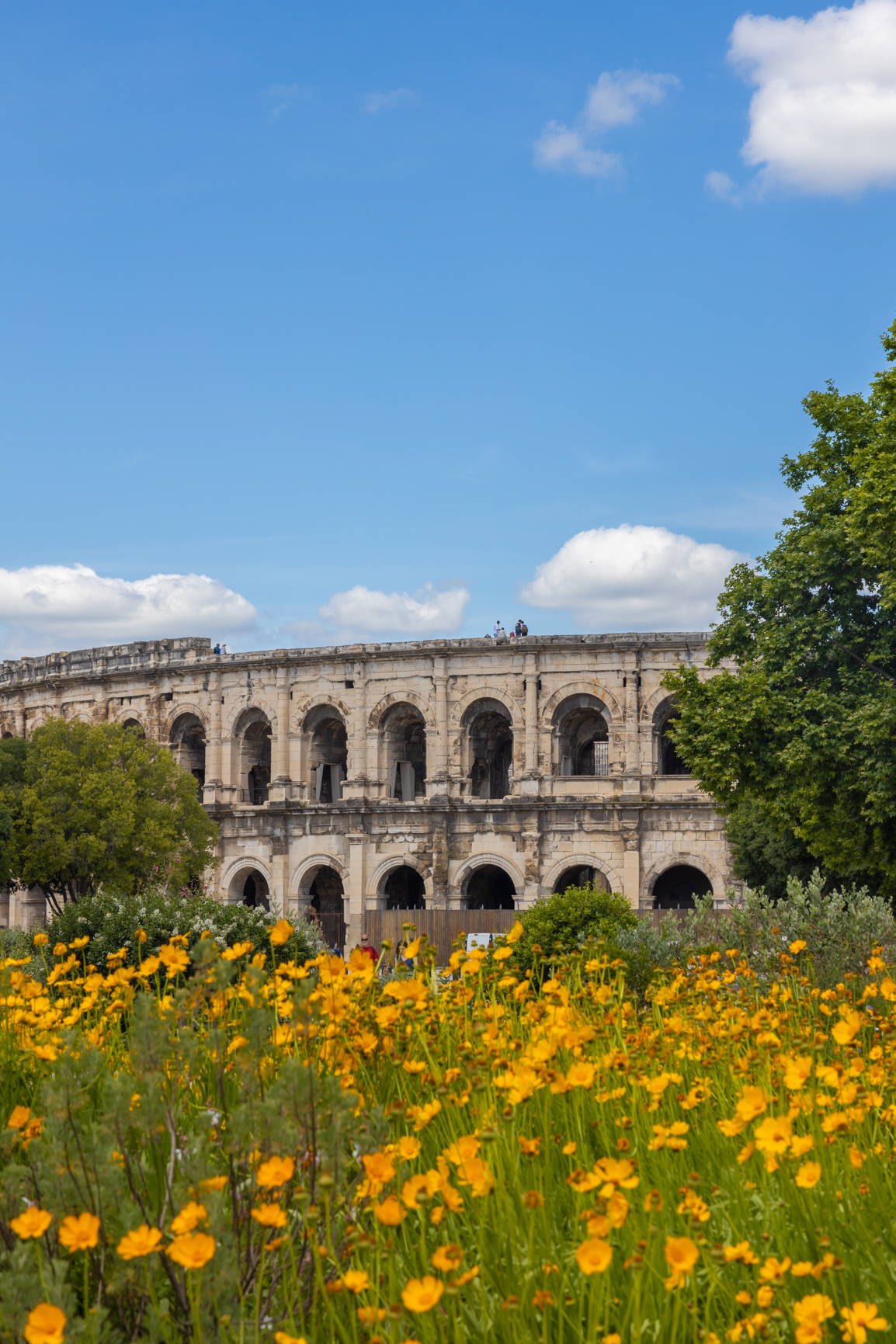 arènes de nimes