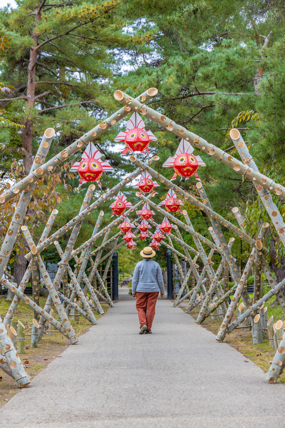 visiter château de Hirosaki
